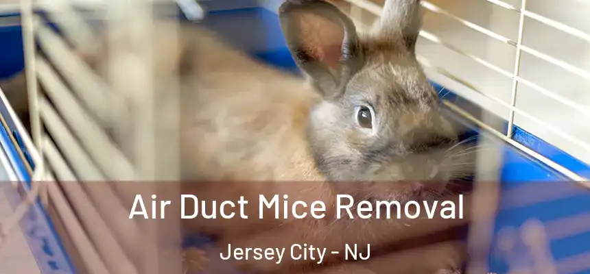  Air Duct Mice Removal Jersey City - NJ