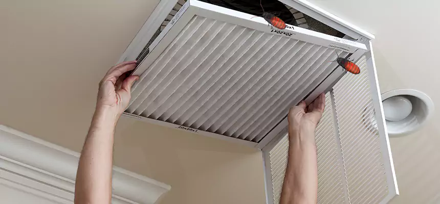 Preventive Cockroach-Proofing for Ducts in Jersey City