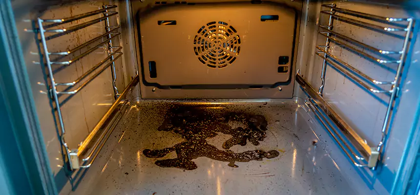 Our Dryer Vent Mold Cleaning Services in Jersey City, NJ