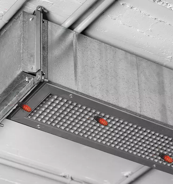 Affordable Insect Removal from Air Ducts in Jersey City, NJ