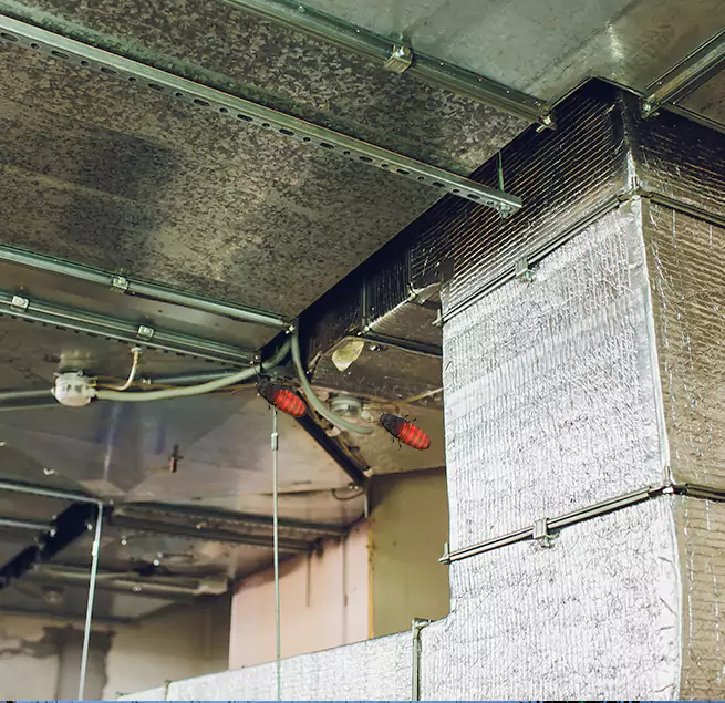 Why Homeowners & Businesses Trust Us Jersey City, NJ?