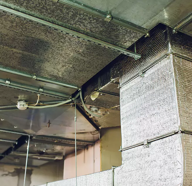 Why Homeowners & Businesses Trust Us in Jersey City, NJ?